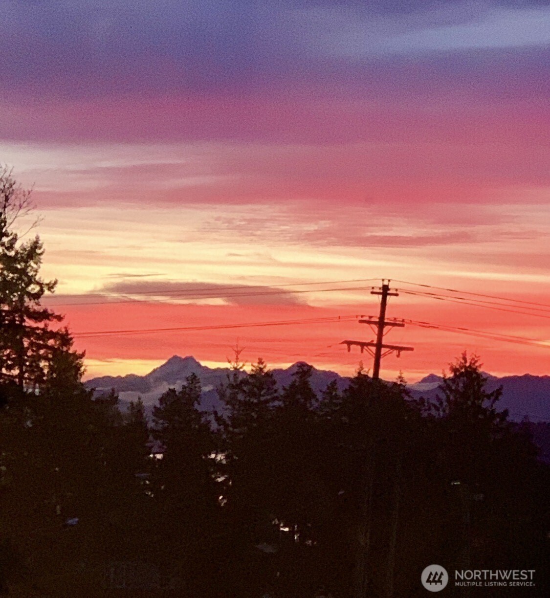 4895 76th Street SW #D703, Mukilteo, WA 98275