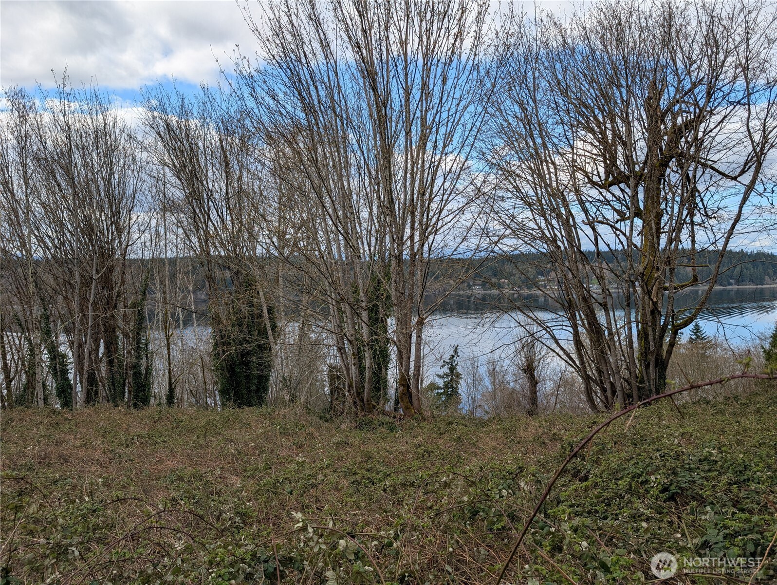 51 E Seamount Way , Shelton, WA 98584