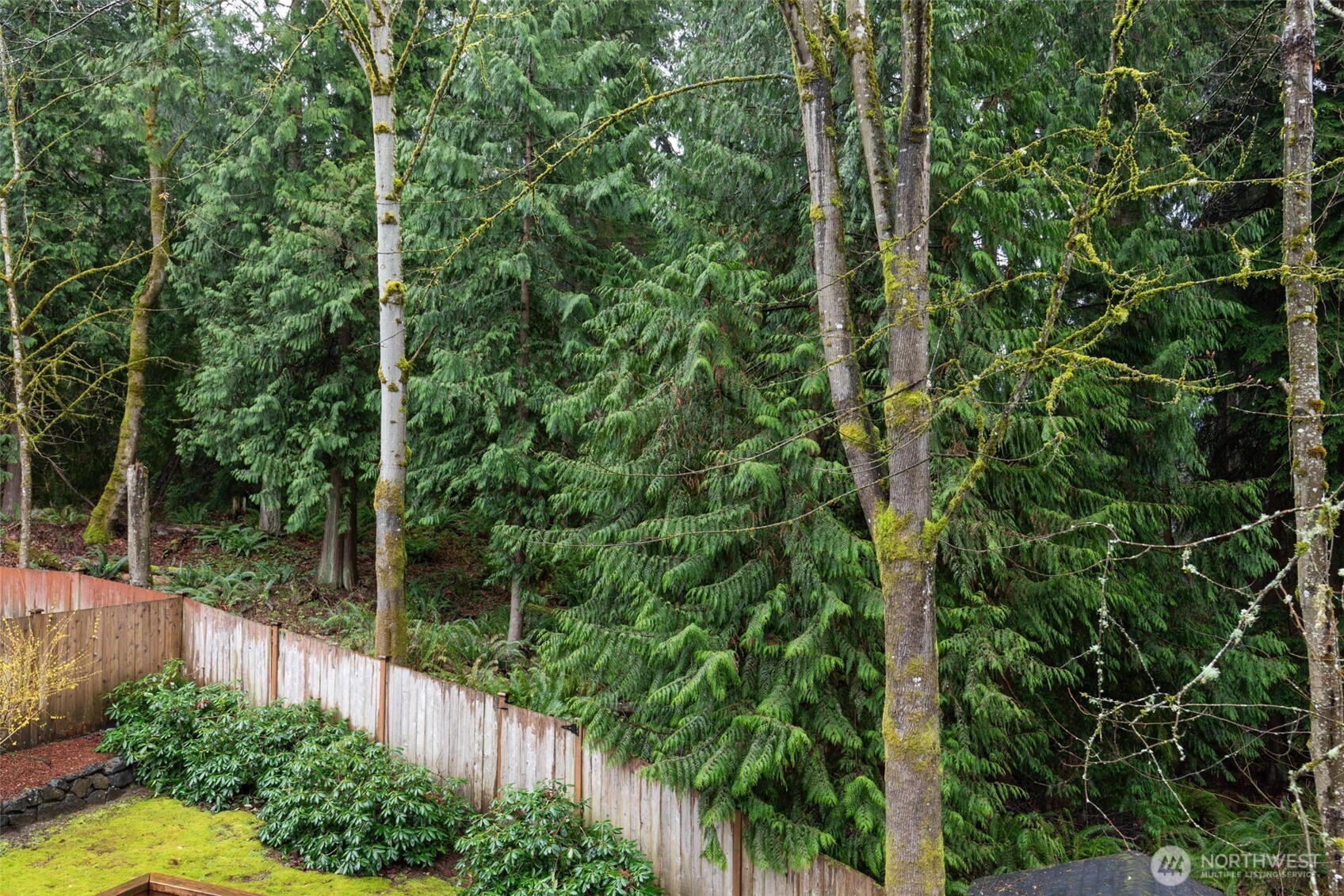 2408 208th Place SE, Bothell, WA 98021