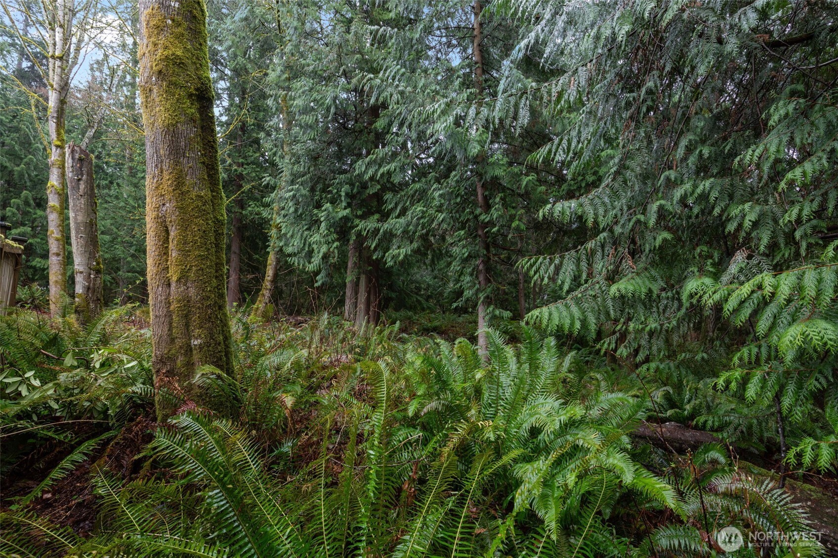 2408 208th Place SE, Bothell, WA 98021