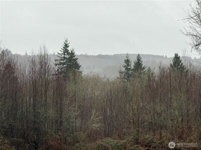 280 Ridge View Road , Onalaska, WA 98570