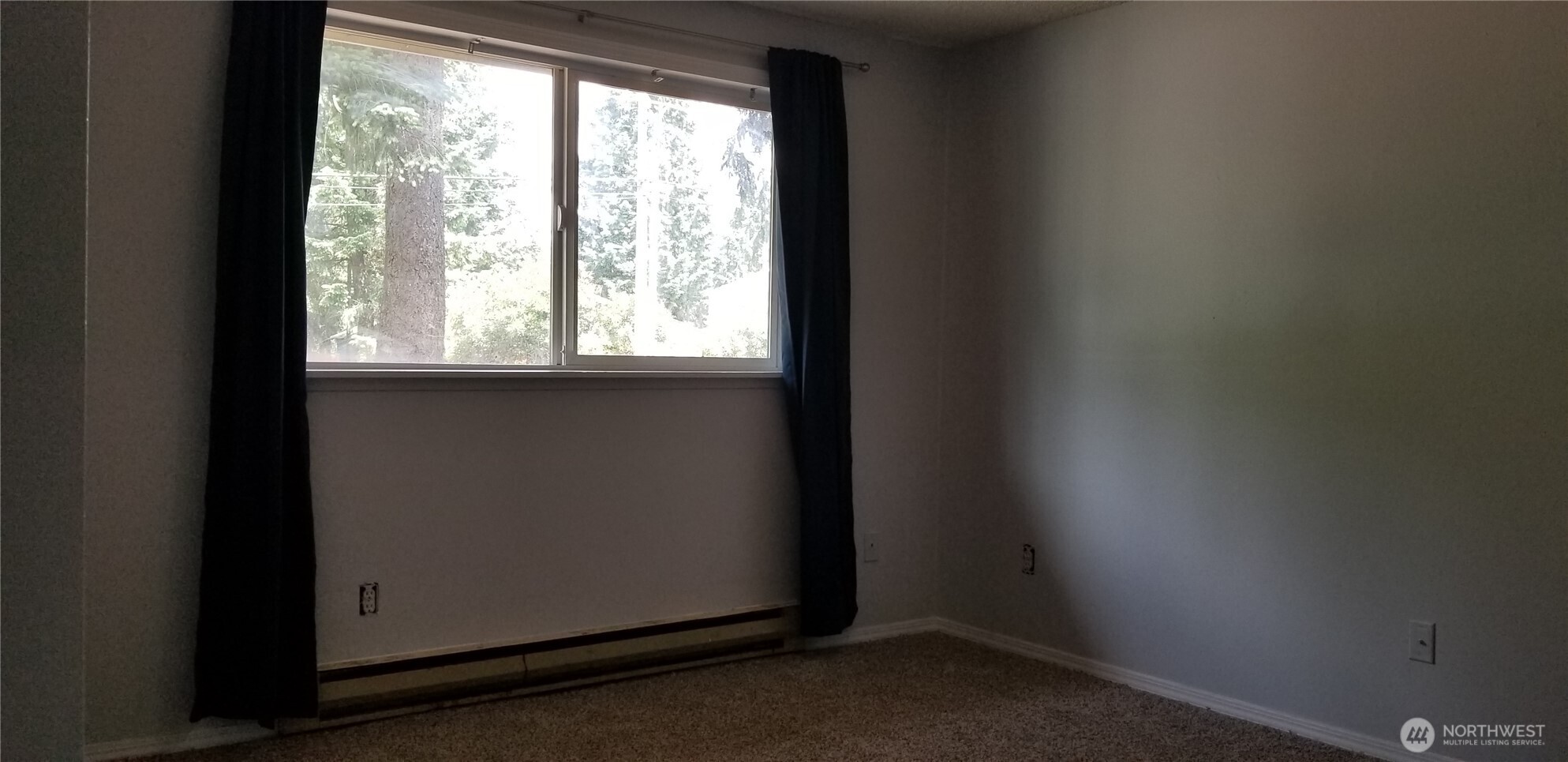 9210 9212 204th Street E, Graham, WA 98338