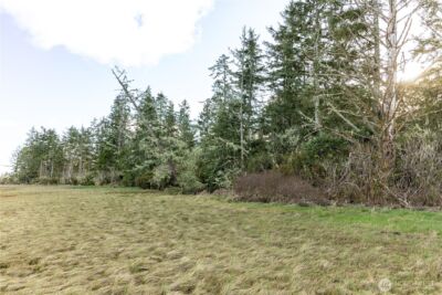 22308 Sandridge Road , Ocean Park, WA 98640 - Photo 19