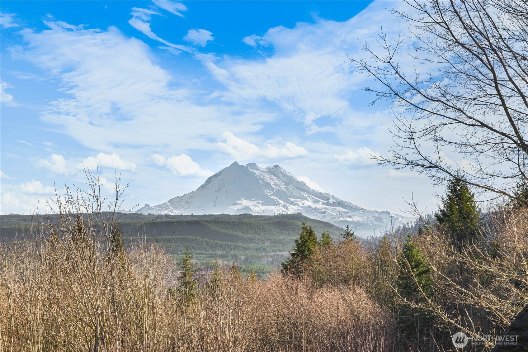 15821 269th Street E, Graham, WA 98338