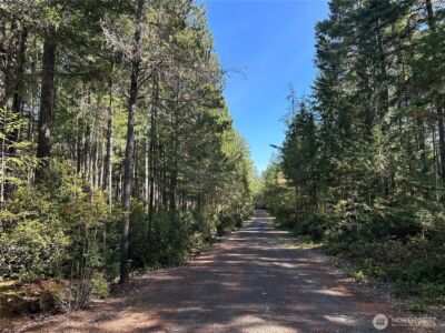 0 E Windstar Road , Union, WA 98592 - Photo 12
