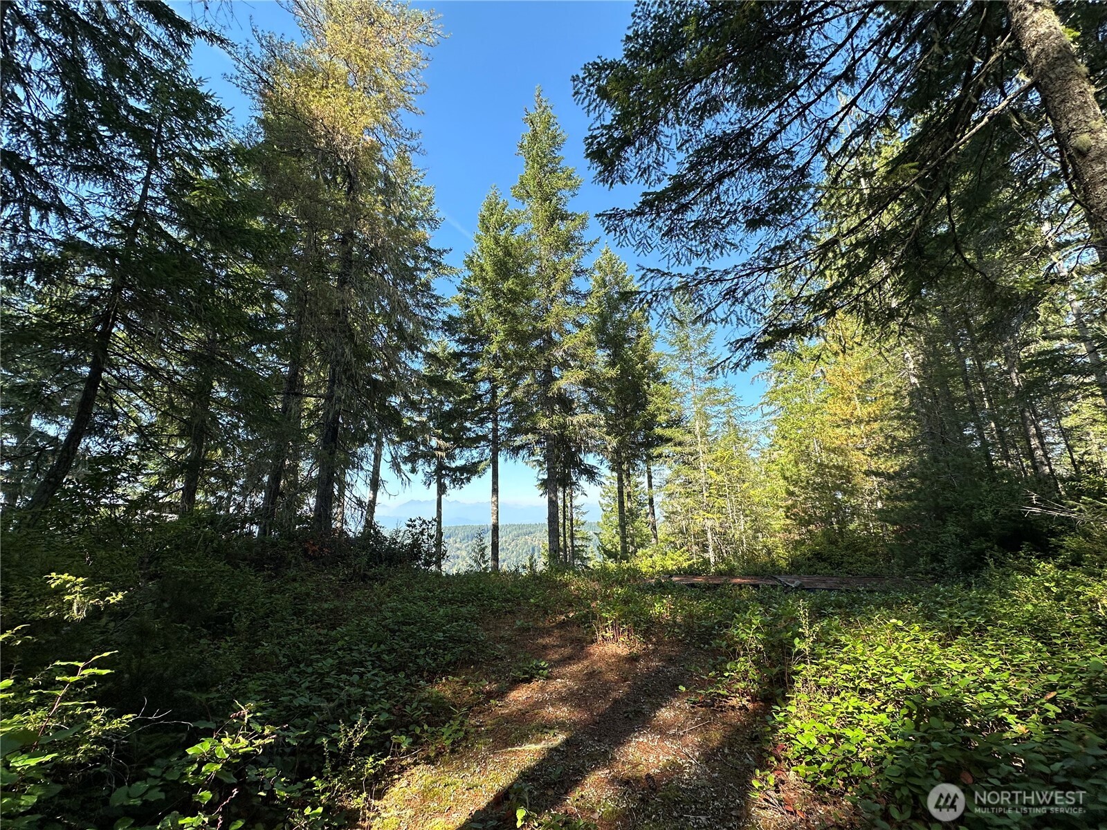 0 E Windstar Road , Union, WA 98592
