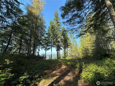 0 E Windstar Road , Union, WA 98592 - Photo 3