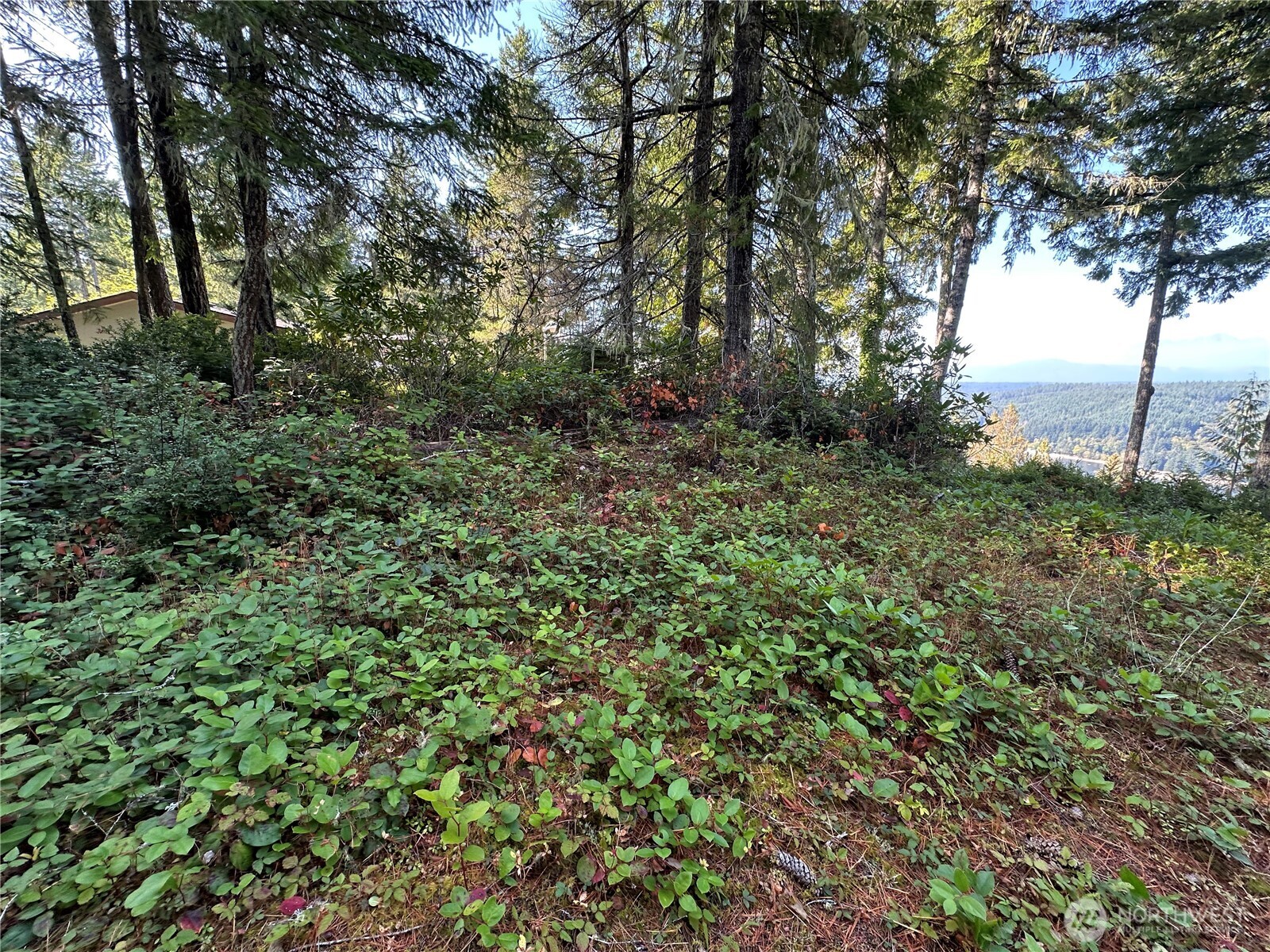 0 E Windstar Road , Union, WA 98592