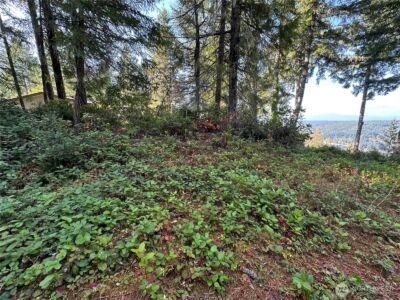 0 E Windstar Road , Union, WA 98592 - Photo 4