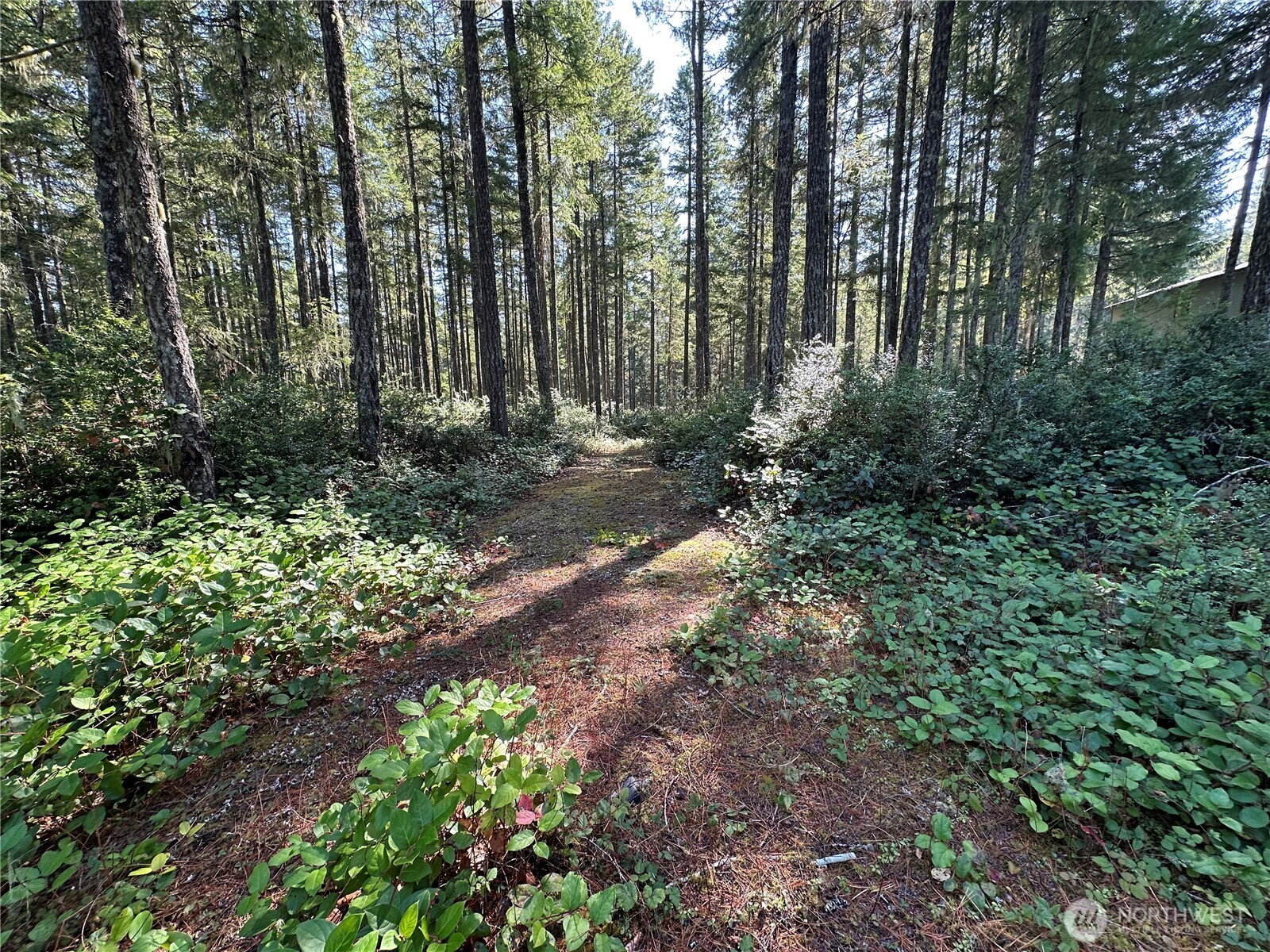 0 E Windstar Road , Union, WA 98592