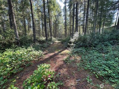 0 E Windstar Road , Union, WA 98592 - Photo 5