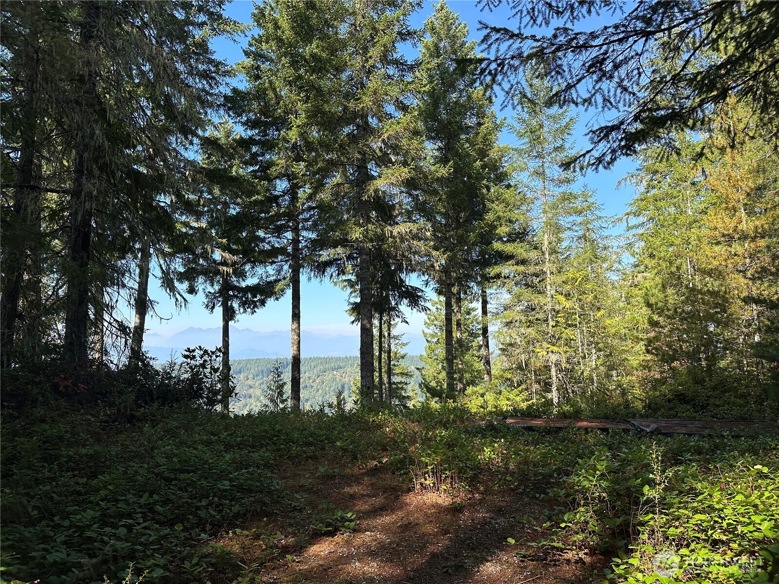 0 E Windstar Road , Union, WA 98592