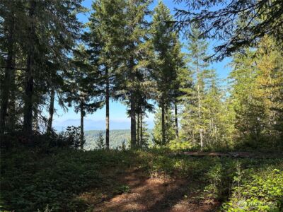 0 E Windstar Road , Union, WA 98592 - Photo 6