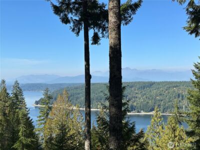 0 E Windstar Road , Union, WA 98592 - Photo 7