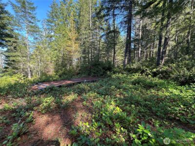 0 E Windstar Road , Union, WA 98592 - Photo 8