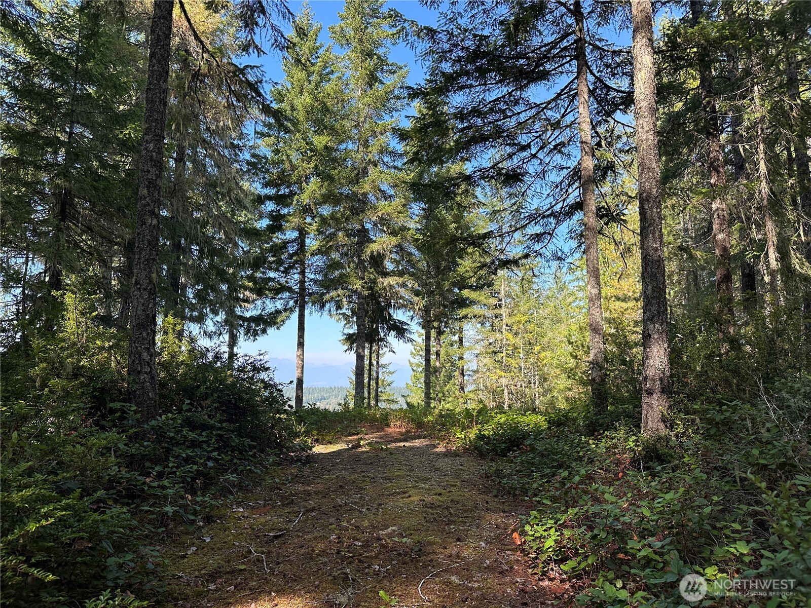 0 E Windstar Road , Union, WA 98592