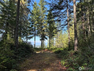 0 E Windstar Road , Union, WA 98592 - Photo 9
