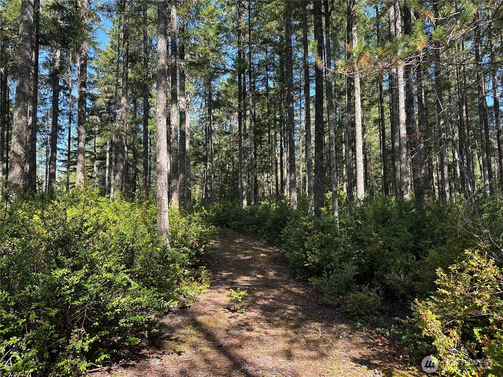 0 E Windstar Road , Union, WA 98592