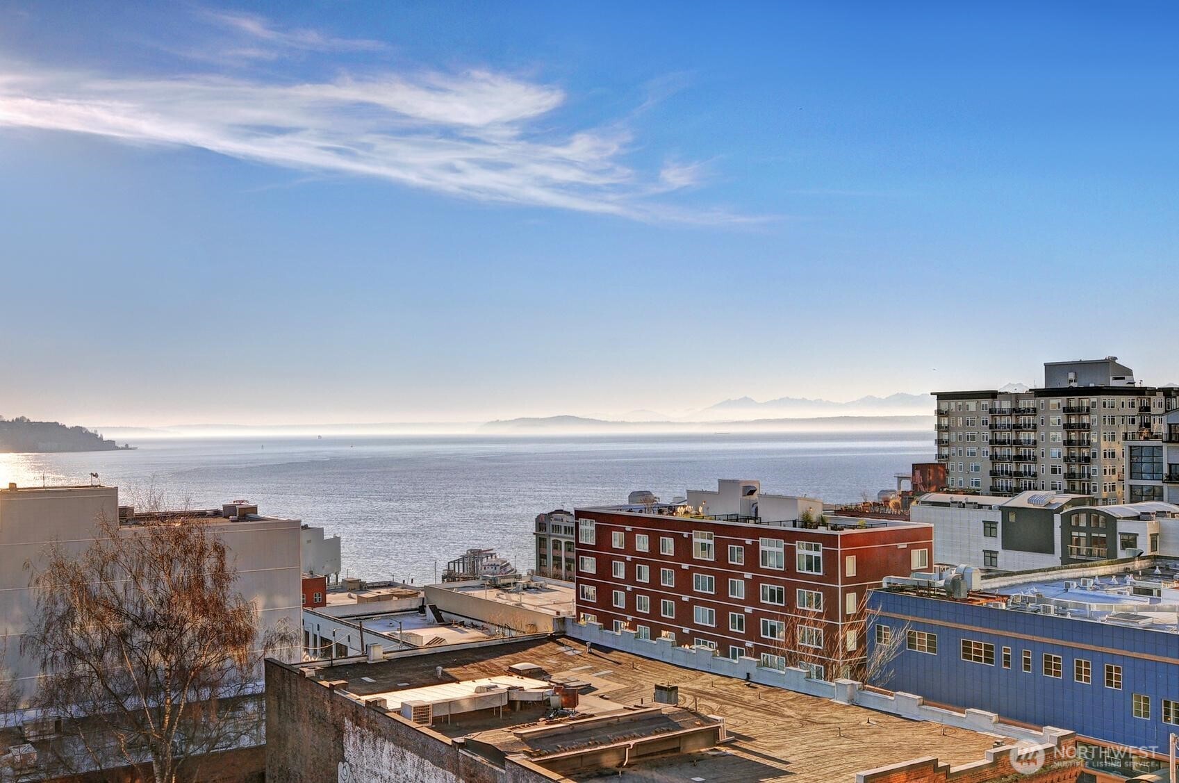 2414 1st #321, Seattle, WA 98121