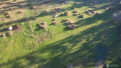 441 Elma Hicklin Rd W, McCleary, WA 98557 - Photo 3