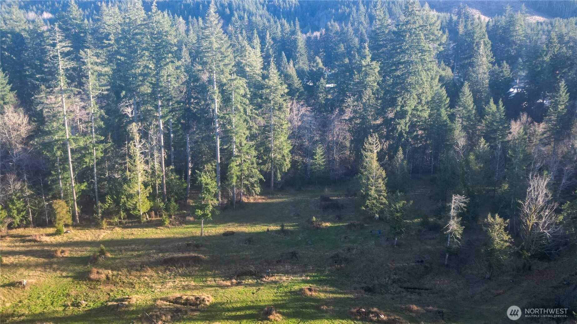 441 Elma Hicklin Rd W, McCleary, WA 98557