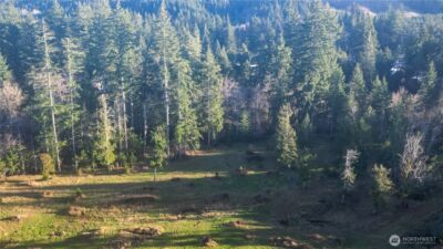 441 Elma Hicklin Rd W, McCleary, WA 98557 - Photo 7