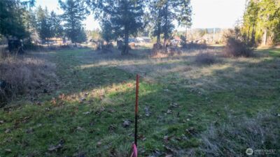 441 Elma Hicklin Rd W, McCleary, WA 98557 - Photo 8