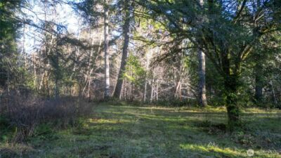 441 Elma Hicklin Rd W, McCleary, WA 98557 - Photo 9