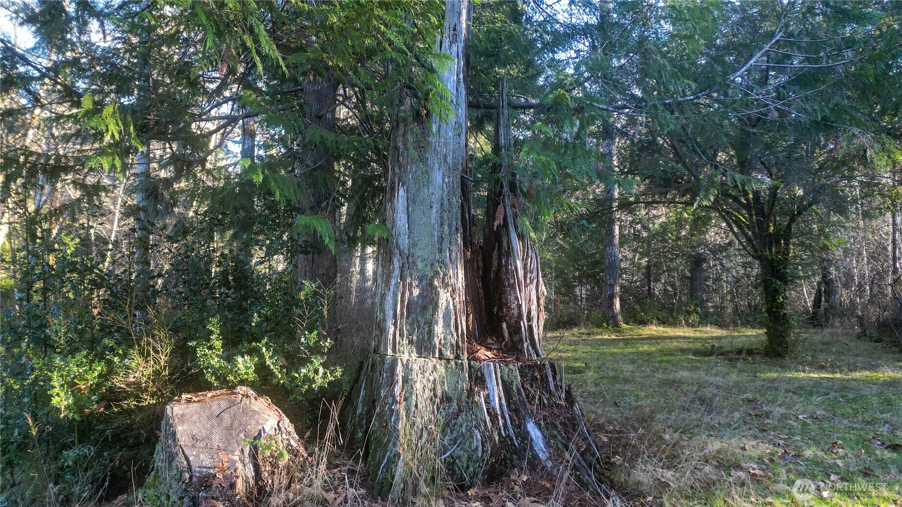 441 Elma Hicklin Rd W, McCleary, WA 98557