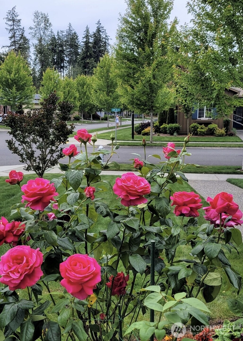 18727 145th Street E, Bonney Lake, WA 98391