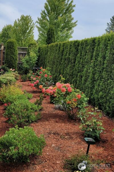 18727 145th Street E, Bonney Lake, WA 98391 - Photo 22