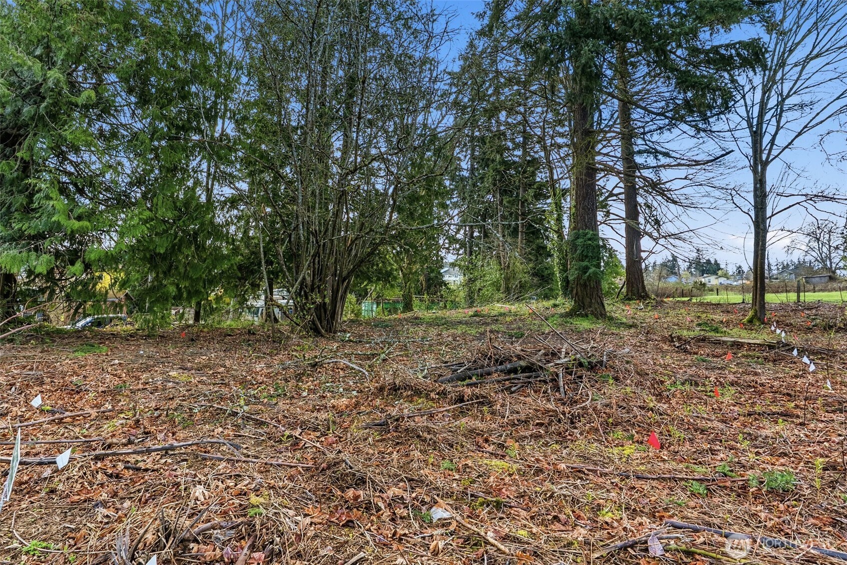 1414 E 44th Street , Tacoma, WA 98404