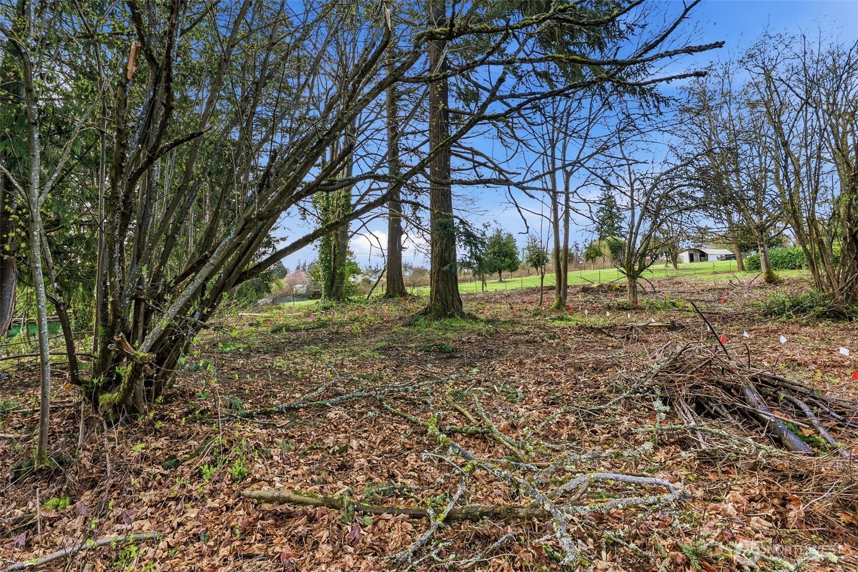 1414 E 44th Street , Tacoma, WA 98404