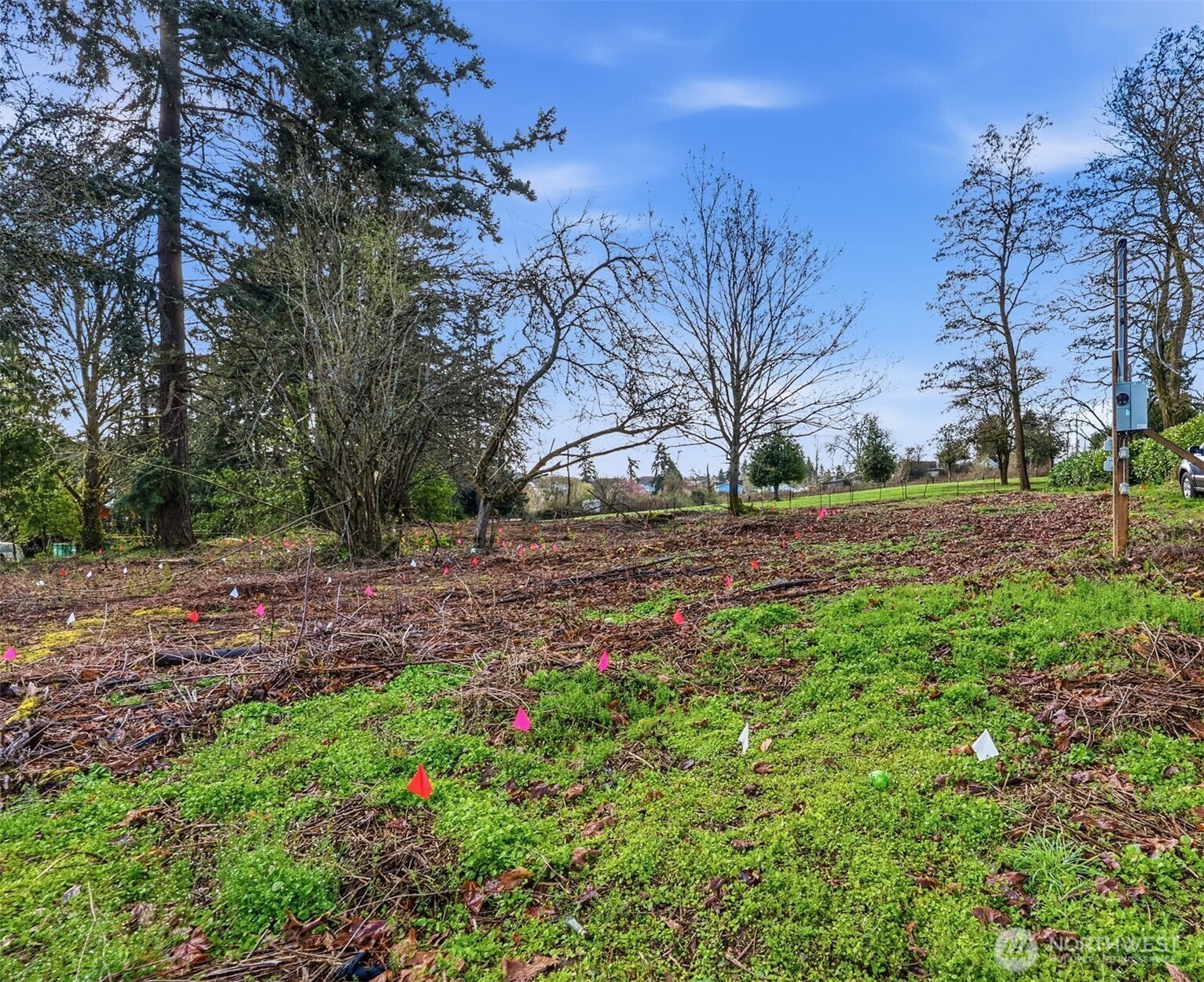 1406 E 44th Street , Tacoma, WA 98404