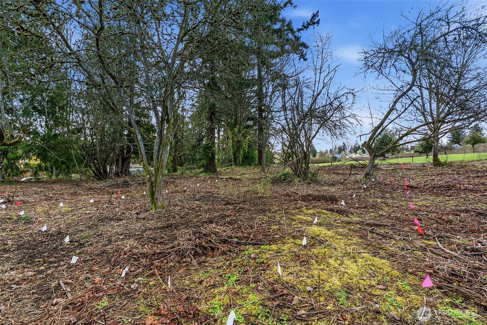 1406 E 44th Street , Tacoma, WA 98404