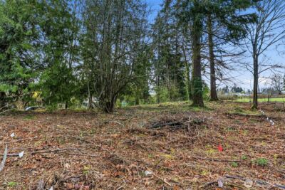 1406 E 44th Street , Tacoma, WA 98404 - Photo 13