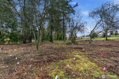1410 E 44th Street , Tacoma, WA 98404 - Photo 10