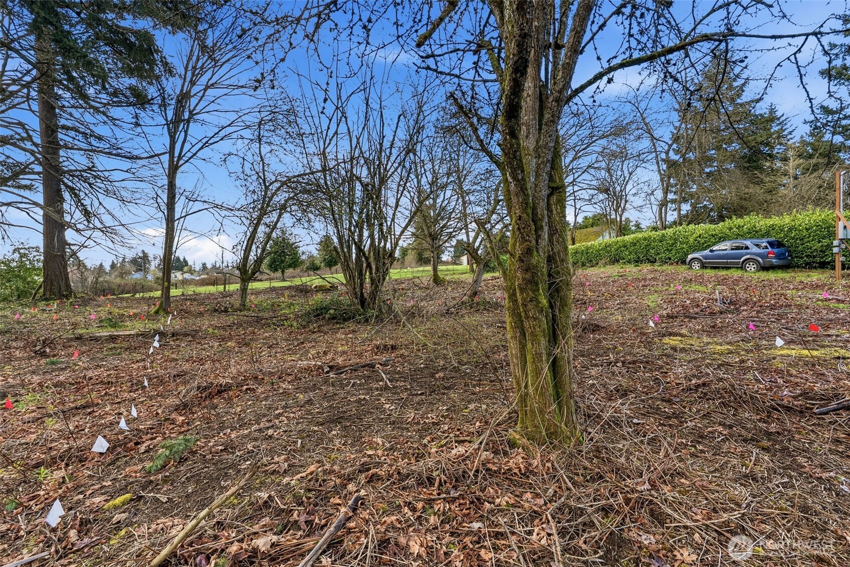 1410 E 44th Street , Tacoma, WA 98404