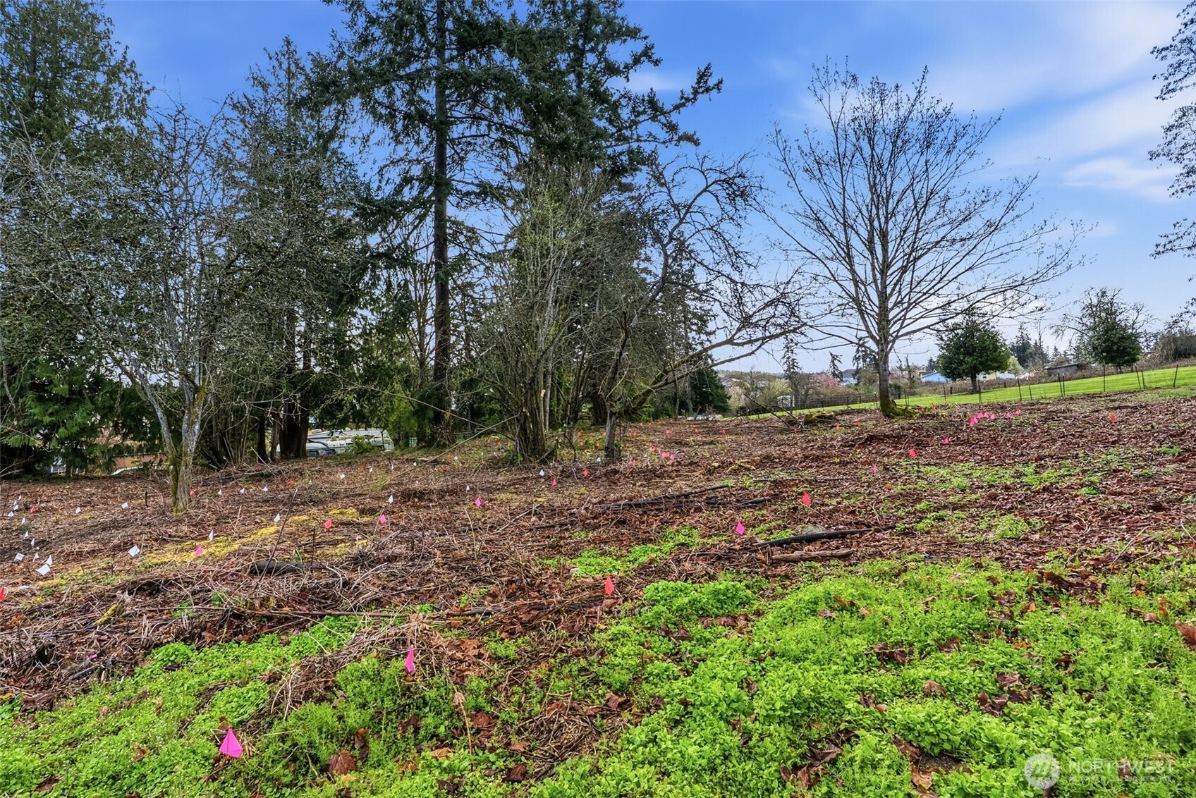 1410 E 44th Street , Tacoma, WA 98404