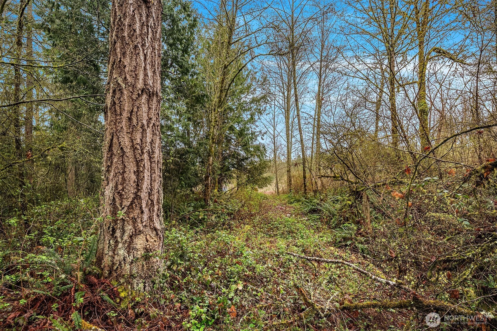 67 XX W Snoqualmie Valley Road NE, Carnation, WA 98014