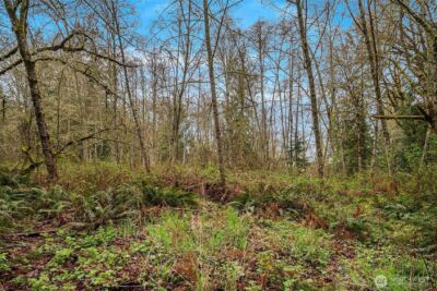 67 XX W Snoqualmie Valley Road NE, Carnation, WA 98014 - Photo 11