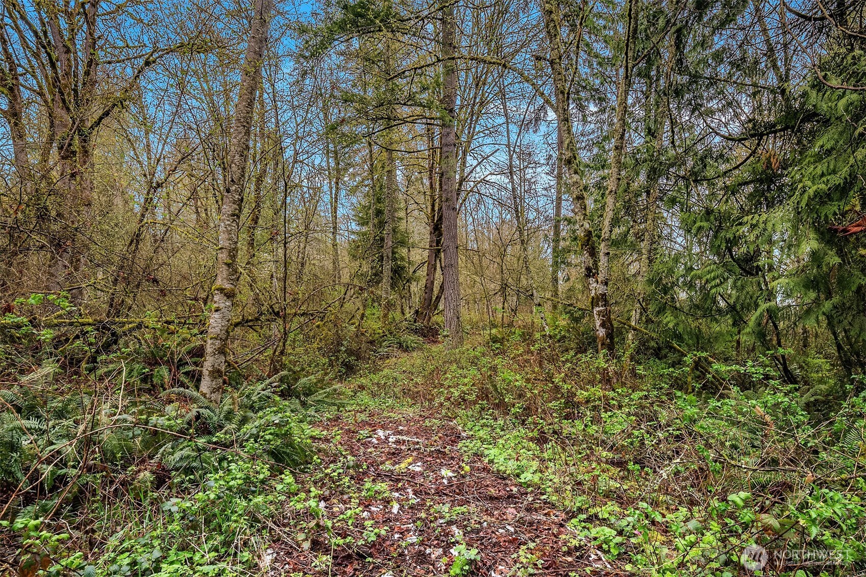 67 XX W Snoqualmie Valley Road NE, Carnation, WA 98014