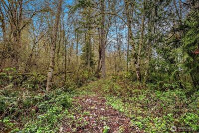 67 XX W Snoqualmie Valley Road NE, Carnation, WA 98014 - Photo 12