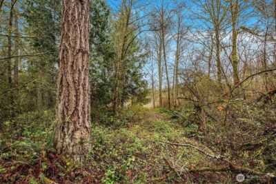 67 XX W Snoqualmie Valley Road NE, Carnation, WA 98014 - Photo 2