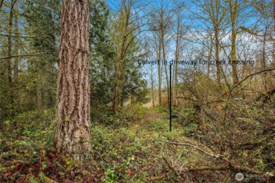 67 XX W Snoqualmie Valley Road NE, Carnation, WA 98014 - Photo 9