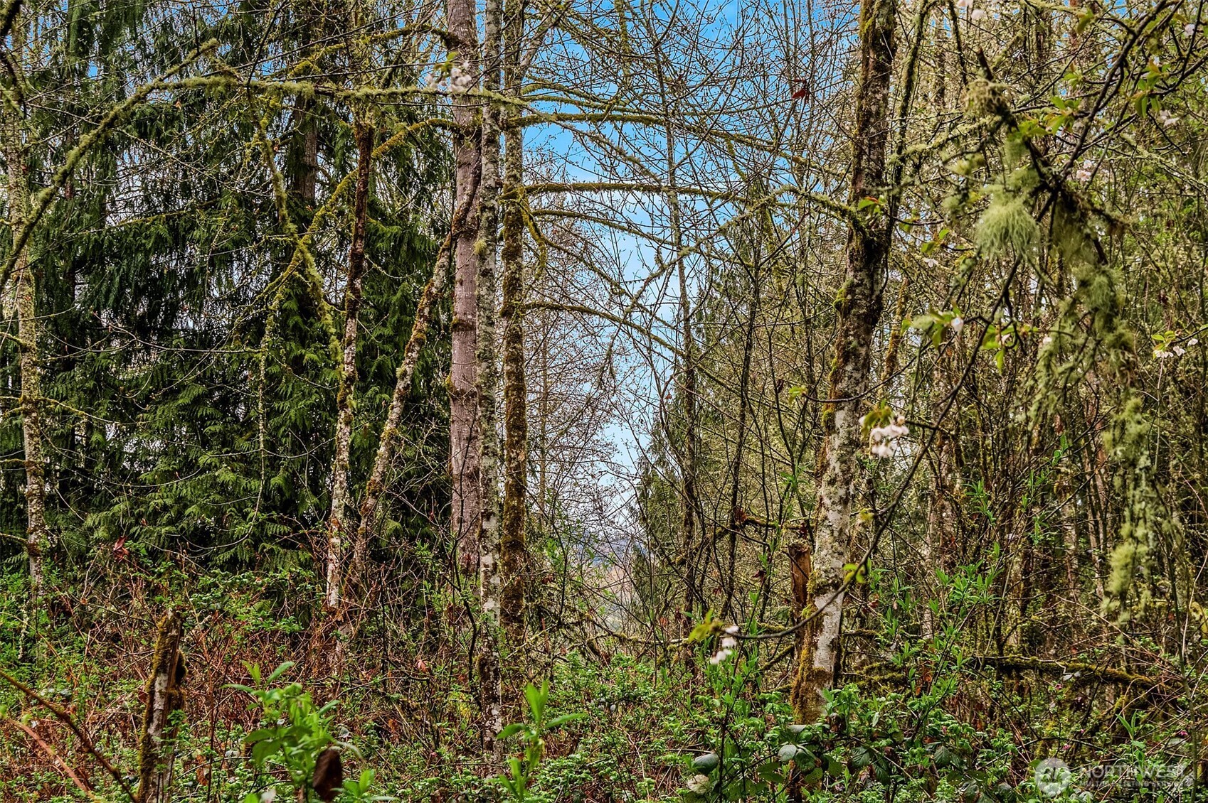 67 XX W Snoqualmie Valley Road NE, Carnation, WA 98014