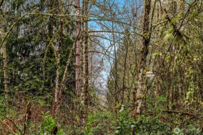 67 XX W Snoqualmie Valley Road NE, Carnation, WA 98014 - Photo 10