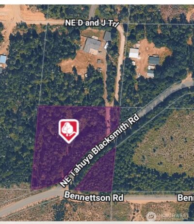 3511 NE Tahuya Blacksmith Rd , Tahuya, WA 98588 - Photo 2