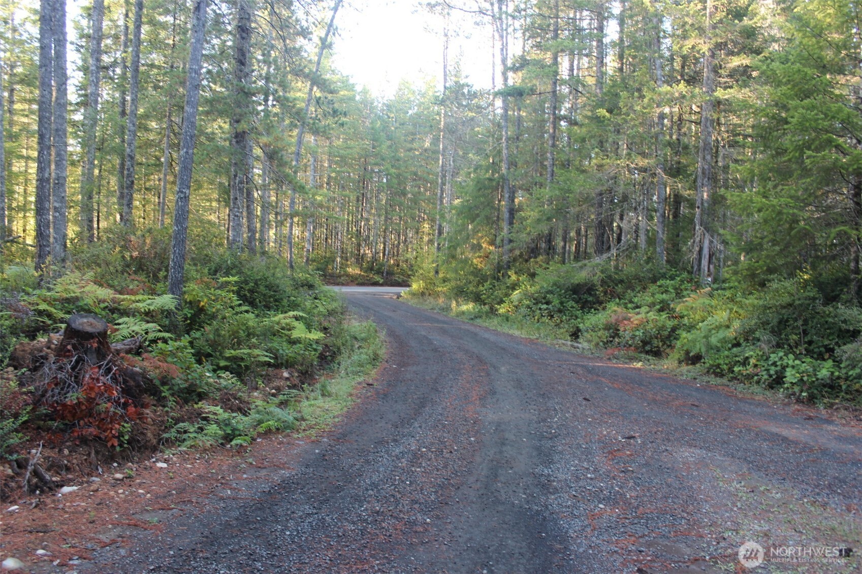 3511 NE Tahuya Blacksmith Rd , Tahuya, WA 98588