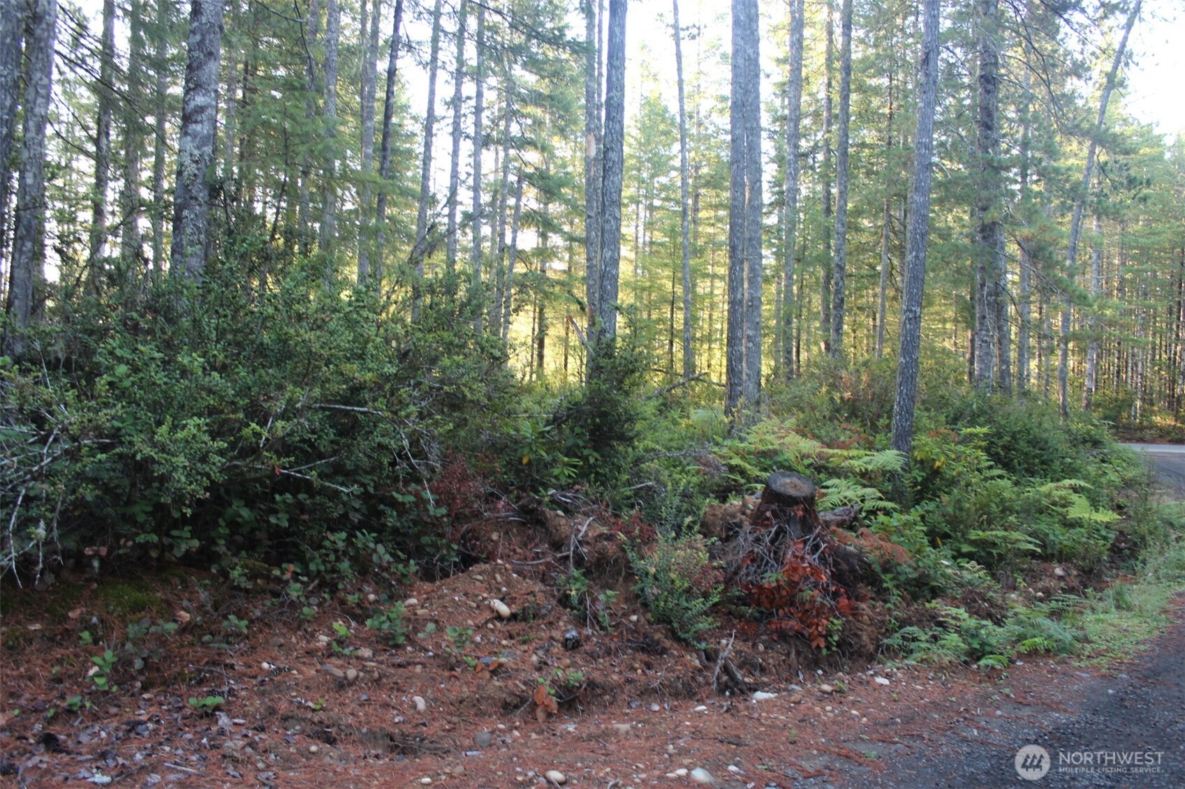 3511 NE Tahuya Blacksmith Rd , Tahuya, WA 98588